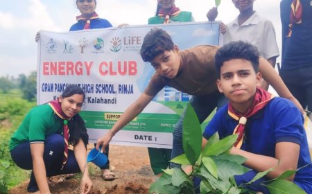 ଶକ୍ତି କ୍ଲବ ପକ୍ଷରୁ ବୃକ୍ଷ ରୋପଣ କାର୍ଯ୍ୟକ୍ରମ