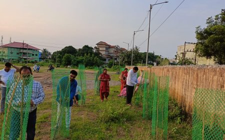 ସ୍ୱଚ୍ଛ ଭାରତ ସଂଗଠନ ଓ ଯୋଗ ସମିତି ପକ୍ଷରୁ ଅଭିନବ ଢଙ୍ଗରେ ରକ୍ଷା ବନ୍ଧନ ଉତ୍ସବ ପାଳନ