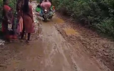 ଶେଉଳମୁଣ୍ଡା ଛକ ଠାରୁ ଦପଳା ରାସ୍ତା ଶୋଚନୀୟ , ରାସ୍ତା ମରାମତି ପାଇଁ ସାଧାରଣ ରେ ଦାବି