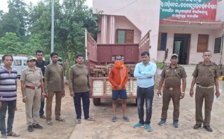 ଶାଳ କାଠ ସହ ଗାଡ଼ି ଜବତ,ଜଣେ ଗିରଫ