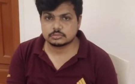 ଭିଜିଲାନ୍ସ ଜାଲରେ କନିଷ୍ଠ କିରାଣୀ