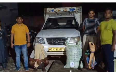 ଢୋଲପଡା ନିକଟରୁ ପିକଅପ ସହ 18  ଗଞ୍ଜେଇ ଜବତ, ଦୁଇ ଗିରଫ