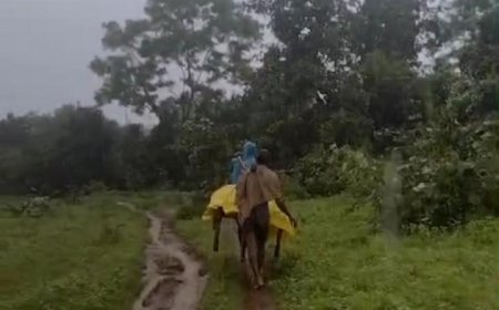 ଖଟିଆରେ ବୁହାହେଲେ ଆହତ ମହିଳା