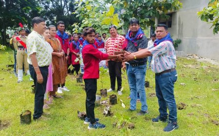 କୋକସରା ପଞ୍ଚାୟତ ସମିତି ସ୍ନାତକ ମହାବିଦ୍ୟାଳୟ ଏନଏସଏସ ପକ୍ଷରୁ ବୃକ୍ଷ ରୋପଣ କାର୍ଯ୍ୟକ୍ରମ ଅନୁଷ୍ଠିତ।