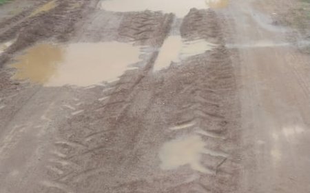 କଣ୍ଟାମାଲ ବନ୍ଧପାଲି ରାମମନ୍ଦିର ରାସ୍ତା ଶୋଚନୀୟ .... ପିଚୁ ରାସ୍ତା ନିର୍ମାଣ ପାଇଁ ଦାବୀ