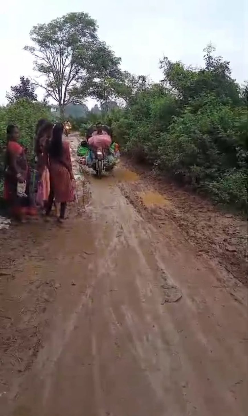 ଶେଉଳମୁଣ୍ଡା ଛକ ଠାରୁ ଦପଳା ରାସ୍ତା ଶୋଚନୀୟ , ରାସ୍ତା ମରାମତି ପାଇଁ ସାଧାରଣ ରେ ଦାବି