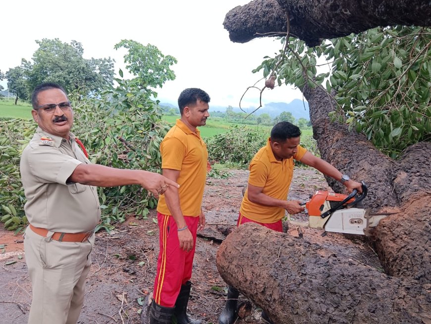ରିଶିଡ଼ା - ରାମପୁର ପୂର୍ତ୍ତ ବିଭାଗ ରାସ୍ତା ରେ ଗଛ ପଡି ରାସ୍ତା ଅବରୋଧ: ଅଗ୍ନିଶମ ବିଭାଗ କର୍ମଚାରୀ ଙ୍କ ଦ୍ଵାରା ସଫେଇ