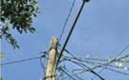 ପଳସା ଗୋରା ପଂଚାୟତ ଛକ ଠାରୁ କଲେଜ ରାସ୍ତା ଦେଇ ବାଘମୁଣ୍ଡା ରାସ୍ତା ପାର୍ଶ୍ୱ ଆଲୋକିକରଣପାଇଁ ଦାବି