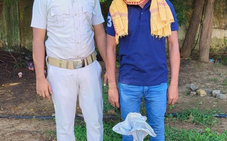 ଗଞ୍ଜେଇ  ଜବତ, ଜଣେ ଗିରଫ