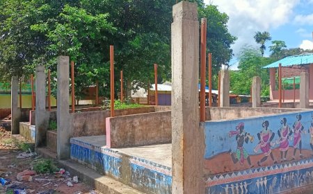 ଭେଣ୍ଡିଁ ଜୋନ ପାଲଟିଛି ମଦ୍ୟପ ଙ୍କ ଆଡ୍ଡା ସ୍ଥଳୀ l  ସରକାର ଙ୍କ ଲକ୍ଷ ଲକ୍ଷ ଟଙ୍କା ପାଣିରେ ପଡ଼ିଲା