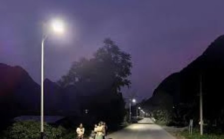 ପଳସା ଗୋରା ପଂଚାୟତ ଛକ ଠାରୁ ହାଇସ୍କୁଲ ରାସ୍ତା ଦେଇ ପତର ଫଡିପାର୍ଶ୍ୱ ଆଲୋକିକରଣପାଇଁ ଦାବି