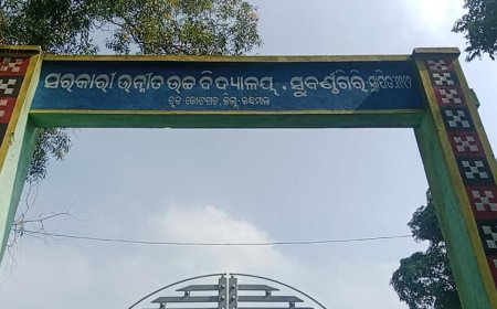 ଅବ୍ୟବସ୍ଥା ଘେରରେ ସୁବର୍ଣ୍ଣଗିରୀ ଫାଇଭ୍ ଟି ସ୍ମାର୍ଟ ସ୍କୁଲ୍ l  ପ୍ରଧାନ ଶିକ୍ଷକ ନିଯୁକ୍ତି ଦାବୀ କଲେ ଗ୍ରାମବାସୀ