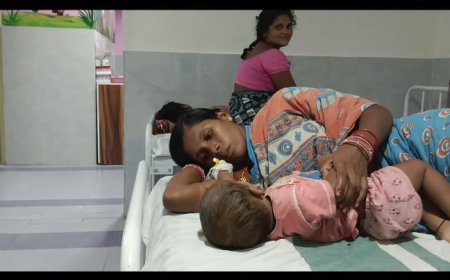 ମଶାରୀ ଦେବା ସହିତ ଡ଼ିଡ଼ିଟି ସିଞ୍ଚନ କରାଯିବାକୁ ଦାବି