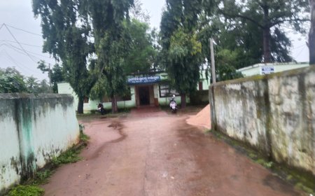 ପ୍ରାଣୀ ଚିକିତ୍ସା କେନ୍ଦ୍ର ରାସ୍ତା ଉପରେ ଜବର ଦଖଲ ହଟିବ କେବେ ?