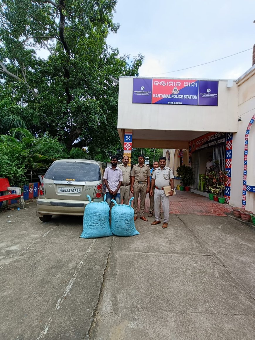 କାର ସହ ବିପୁଳ ଗଞ୍ଜେଇ ଜବତ, ଜଣେ ଗିରଫ