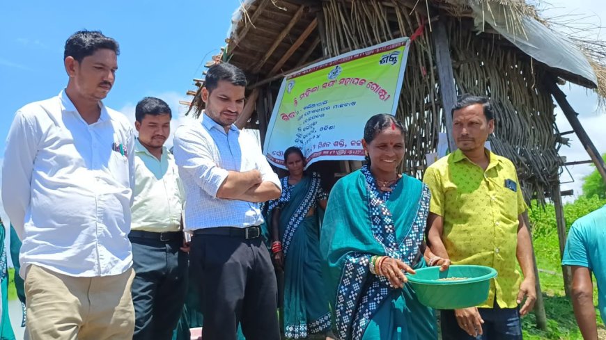 କଳାହାଣ୍ଡି ଜିଲ୍ଲା ପାଳ ଙ୍କ ବିଭିନ୍ନ ଅଞ୍ଚଳ ଗ୍ରସ୍ତ.......