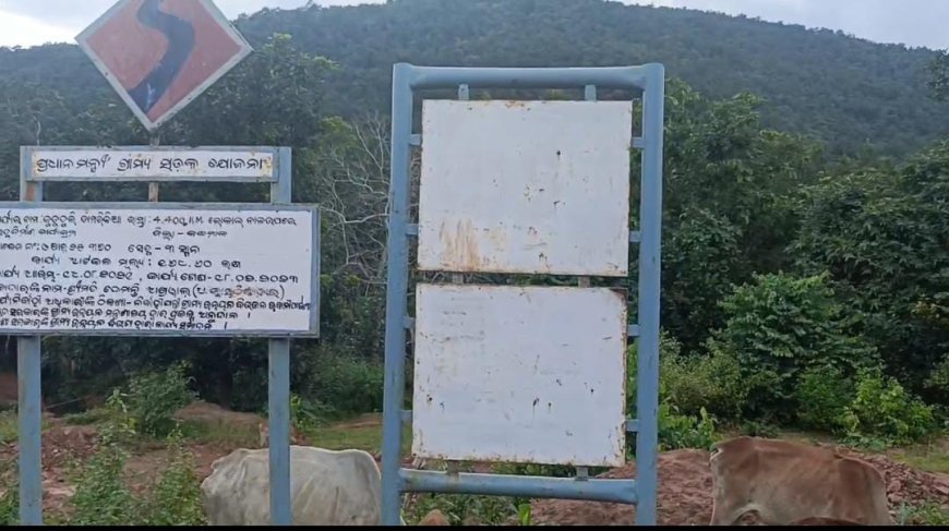 ବିଧାୟକ ଙ୍କ ଗାଁ ରେ ନିମ୍ନ ମାନର ରାସ୍ତା କାମ l ଡାମେରୀ କିଆ - ସାଇନ ପଡ଼ା ରାସ୍ତା ପାଲଟିଛି ମରଣ ଜନ୍ତl
