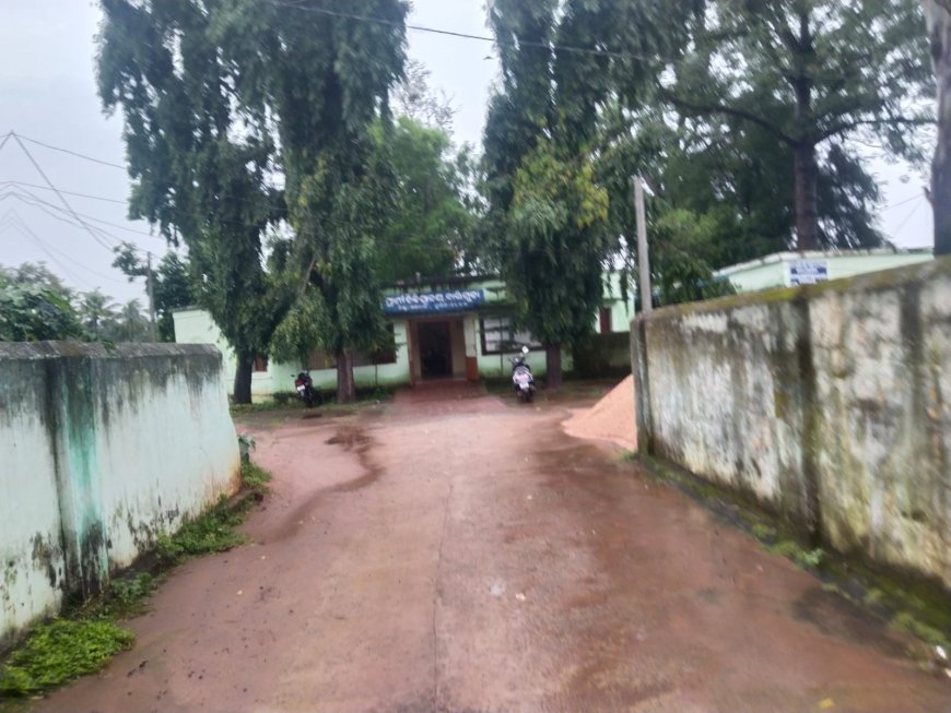 ପ୍ରାଣୀ ଚିକିତ୍ସା କେନ୍ଦ୍ର ରାସ୍ତା ଉପରେ ଜବର ଦଖଲ ହଟିବ କେବେ ?