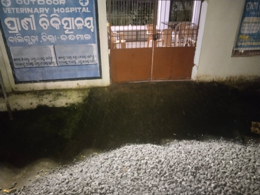 ପ୍ରାଣୀ ଚିକିତ୍ସା କେନ୍ଦ୍ର ରାସ୍ତା ଉପରେ ଜବର ଦଖଲ କରି ଦୋକାନ ଗୃହ ନିର୍ମାଣ କୁ ବିରୋଧ କରିବାରୁ ଯୁବକ ଙ୍କୁ ମାଡ ଅଭିଯୋଗ ଥାନାରେ ଏତେଲା l ତୁରନ୍ତ ବେଆଇନ ଉଛେଦ ପାଇଁ ଦାବୀ କଲା ଜ଼ିଲ୍ଲା ନାଗରିକ ଫୋରମ l