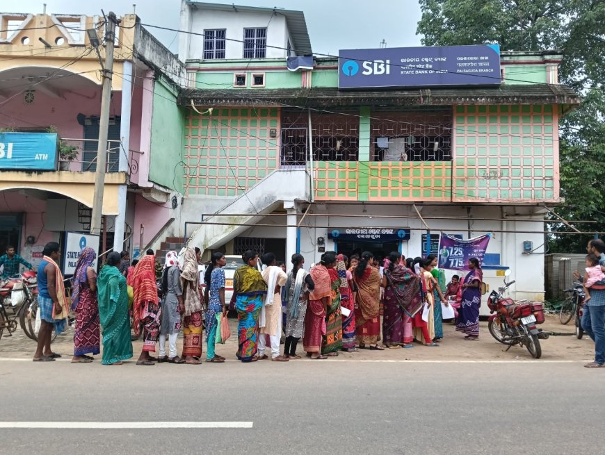 ପଲସାଗୋରା ଷ୍ଟେଟ ବ୍ୟାଙ୍କ ରେ ଇ କେୱାସି ପାଇଁ ଭିଢ l