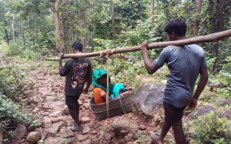 ଲୁବେନଗଡ଼ ଗ୍ରାମପଂଚାୟତ:ସହୀଦ ରେଣ୍ଡୋମାଝୀଙ୍କ ପଂଚାୟତ ଅର୍ନ୍ତଗତ ପୁଇଝିରି କୁ ରାସ୍ତା ନାହିଁ