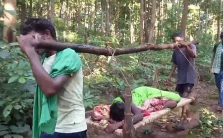 ଯମ ଯନ୍ତ୍ରଣାରେ ପୁଇଝିରି ବାସୀଙ୍କ ଜୀବନ:ଆଜି ପୁଣି ଖଟିଆରେ ବୁହା ହେଲେ ରୋଗୀ