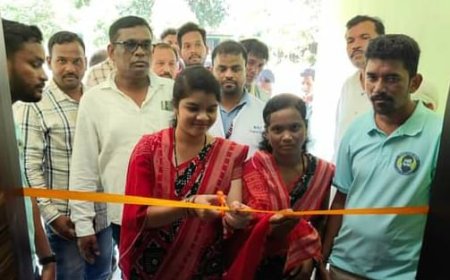 ରିଙ୍ଗାପଡାରେ ମାଗଣା ଚକ୍ଷୁ ପରୀକ୍ଷା ଶିବିର