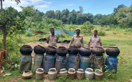 ଅବକାରୀ ବିଭାଗ ଦ୍ୱାରା ୨୬୦ଲିଟର ଦେଶୀ ମଦ ସହ ୧୮୦୦ କେଜି ରନ୍ଦା ସାମଗ୍ରୀ ଜବତ।