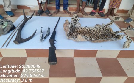 ବାଘ ଛାଲ ଜବତ ସହ ଅଭିଯୁକ୍ତକୁ କୋର୍ଟ ଚାଲାଣ