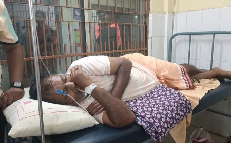 ଚାଷଜମି ରେ ପାଣି ମଡାଉଥିବା ବେଳେ ମହୁମାଛି ଆକ୍ରମଣ ଜଣେ ଚାଷୀ ଗୁରୁତର ଓ ୨ ଆହତ