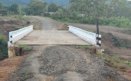 ପୋଲ କାର୍ଯ୍ୟ ନିମ୍ନ ମାନର ଅଭିଯୋଗ..... ମରାମତି ଦାବୀ