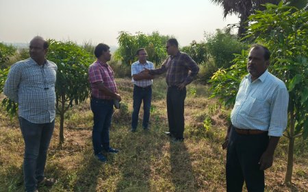 କଣ୍ଟାମାଳ ବ୍ଲକ ରେ ଜିଲ୍ଲାପାଳଙ୍କ ବିଭିନ୍ନ ପ୍ରକଳ୍ପ ର ପରିଦର୍ଶନ