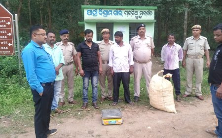ଗଞ୍ଜେଇ ଜବତ: ଦୁଇ ଆନ୍ତରାଜ୍ୟ ବେପାରୀ ଗିରଫ