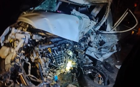 ମର୍ମନ୍ତୁଦ ସଡ଼କ ଦୁର୍ଘଟଣା: ଜଣେ ଝିଅ ମୃତ: ଚାଳକ ଗୁରୁତର