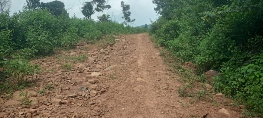 ରାସ୍ତା ଅବସ୍ଥା ଦୂରବସ୍ଥା l ଦୁର୍ଦ୍ଦଶା ଭୋଗୁଛନ୍ତି ପାରିଗଡ଼ ଗ୍ରାମ ପଞ୍ଚାୟତବା ସୀ