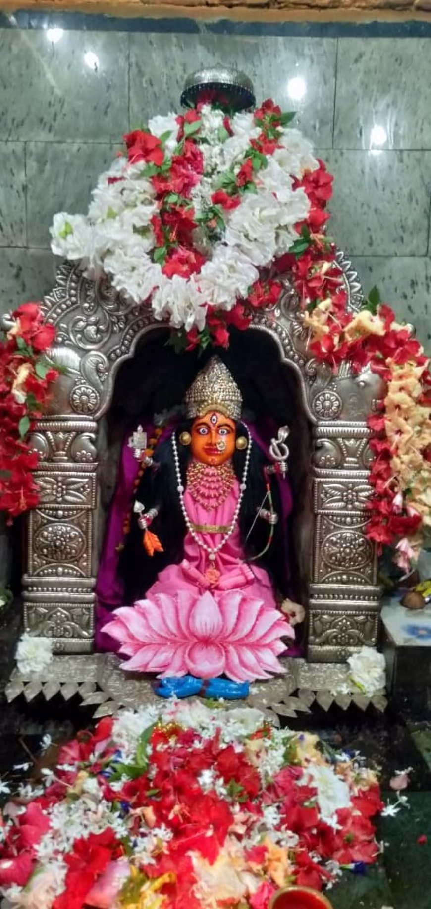 ତ୍ରିପୁର ସୁନ୍ଦରୀ ବା ଷୋଡ଼ଶୀ' ବେଶରେ ଭକ୍ତମାନଙ୍କୁ ଦର୍ଶନ ଦେଉଛନ୍ତି ମା'ସୁରେଶ୍ଵରୀ