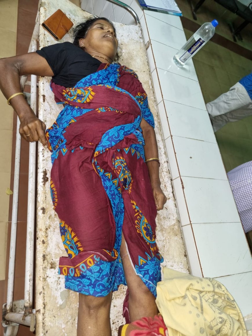 ବିଦ୍ୟୁତ୍ ଆଘାତ ରେ ମହିଳାଙ୍କ ମୃତ୍ୟୁ