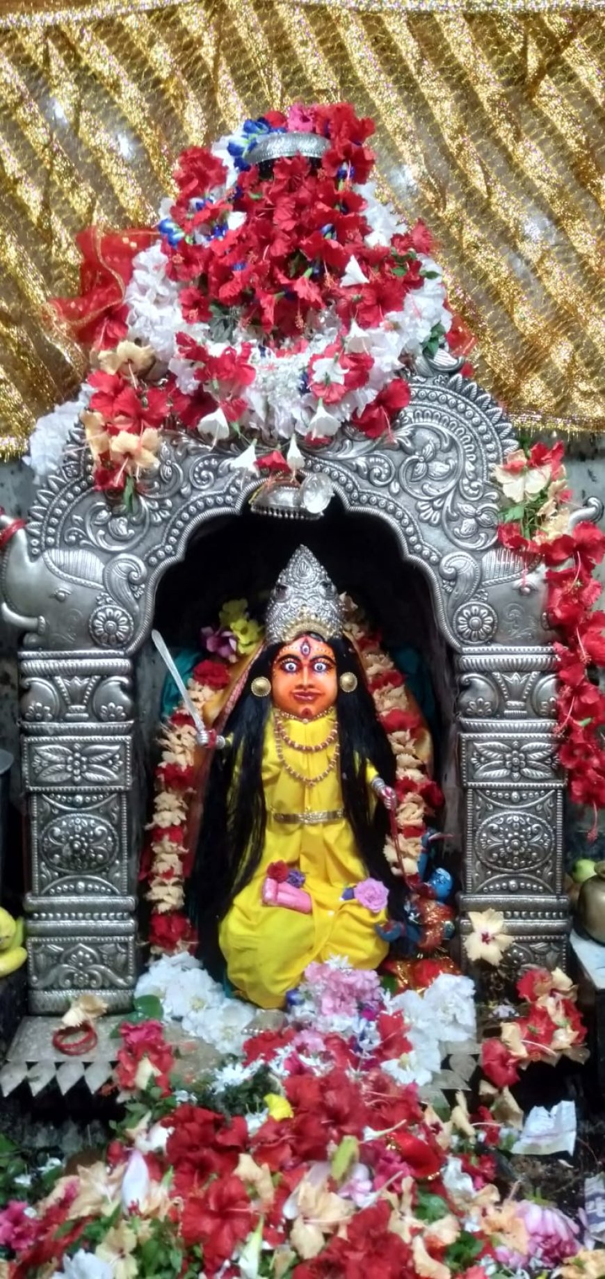 ମା'ସୁରେଶ୍ଵରୀ ଙ୍କ ବଗଳାମୁଖୀ ବେଶ