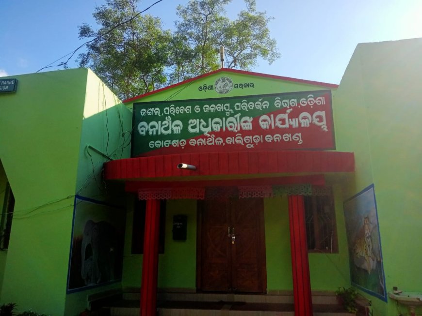 ସାର୍ତ୍ତୁଲ ପଞ୍ଚାୟତ ରେ ବାଘ ଆତଙ୍କ, ଘଟଣା ସ୍ଥଳରେ ପହଁଚିଲା ବନ ବିଭାଗ