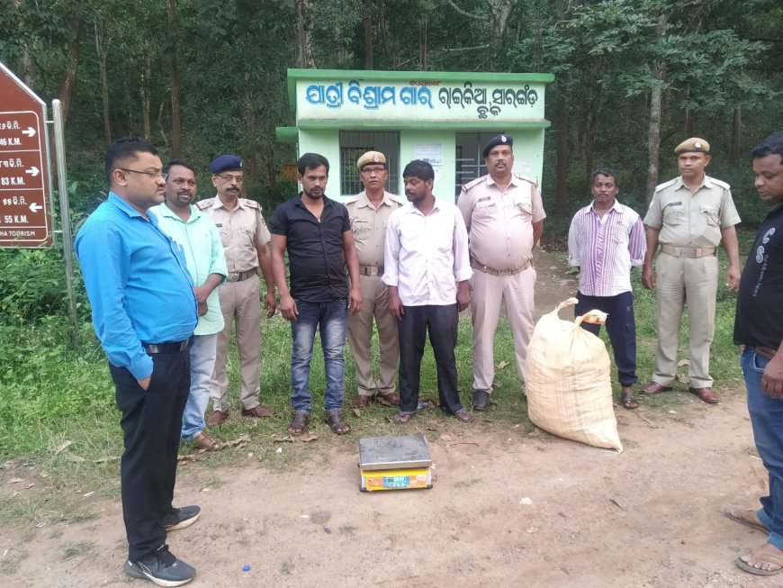 ଗଞ୍ଜେଇ ଜବତ: ଦୁଇ ଆନ୍ତରାଜ୍ୟ ବେପାରୀ ଗିରଫ