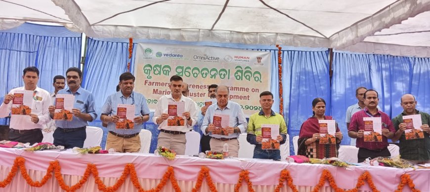 ବ୍ୟବସାୟିକ ଗେଣ୍ଡୁଫୁଲ ଚାଷ ଓ ପ୍ରକ୍ରିୟାକରଣ ପ୍ରକଳ୍ପ ଲୋକାର୍ପିତ* *କୃଷି ବିବିଧକରଣ ରେ ଚାଷୀ ମାନେ ପାଇବେ ଆର୍ଥିକ ପ୍ରୋତ୍ସାହନ*