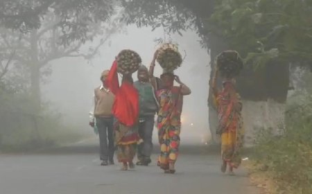କନ୍ଧମାଳ ରେ ପହିଲି ଶୀତର ପରସ, ଘନ କୁହୁଡି ରେ ଆଚ୍ଛାଦିତ ସମଗ୍ର ଅଞ୍ଚଳ