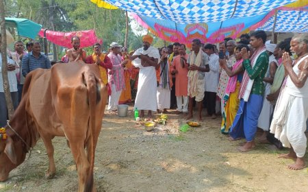 ମାଁ ମାହେଶ୍ୱରୀ ପୀଠ  ରେ ଗୋପାଷ୍ଟମୀ ଉତ୍ସବ ପାଳିତ