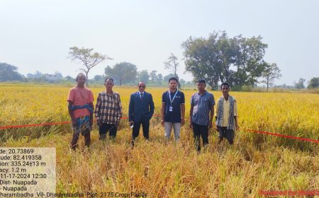 ଅତିରିକ୍ତ ଜିଲ୍ଲାପାଳ ଭୀମସେନ ଶବରଙ୍କ  ଧାନ ଶସ୍ୟ କାଟ କ୍ଷେତ୍ର ପରିଦର୍ଶନ l