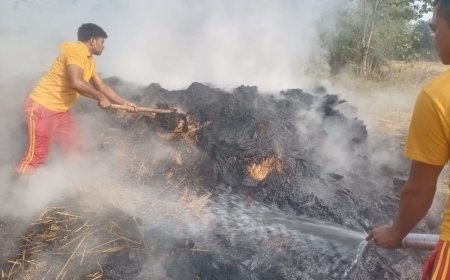 ଧାନ ଖରୀ ରେ ନିଆଁ ଲଗାଇ ଦେଲ ଦୁବୃର୍ତ୍ତ :ଲକ୍ଷାଧିକ ଟଙ୍କା ର ଧାନ ପୋଡି ପାଉଁଶ