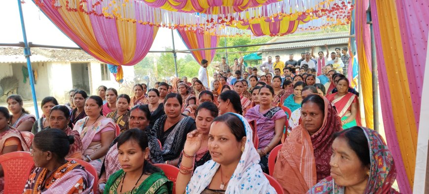 ଶ୍ରୀ ଅନ୍ନ ଅଭିଯାନ ପକ୍ଷରୁ ଭାଲୁପିଆ ଠାରେ କ୍ଷେତ୍ର ଦିବସ