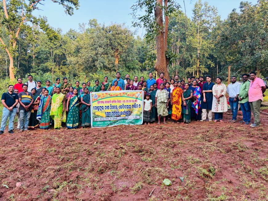 ମୁଖ୍ୟମନ୍ତ୍ରୀ ଜନଜାତି ଜୀବିକା ମିଶନ ଜରିଆରେ ଗେଣ୍ଡୁ ଫୁଲ ଚାଷ ନିମନ୍ତେ ଏକ ଦିବସିୟ ତାଲିମ୍ ଅନୁଷ୍ଠିତ
