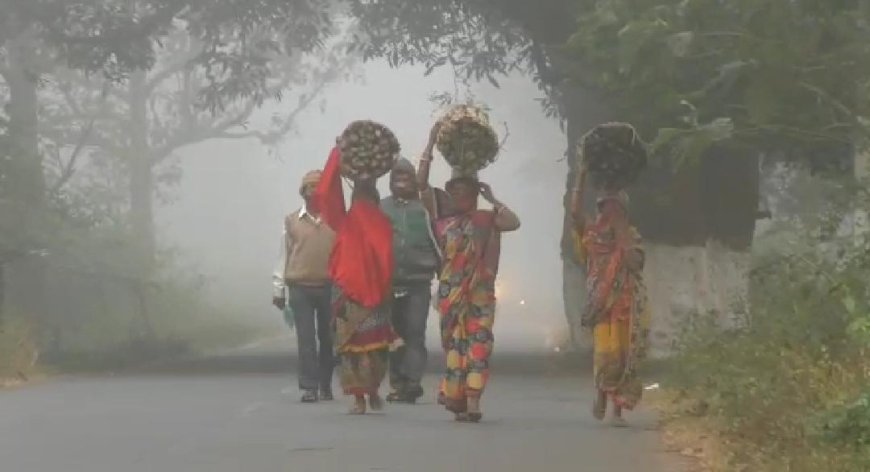କନ୍ଧମାଳ ରେ ପହିଲି ଶୀତର ପରସ, ଘନ କୁହୁଡି ରେ ଆଚ୍ଛାଦିତ ସମଗ୍ର ଅଞ୍ଚଳ