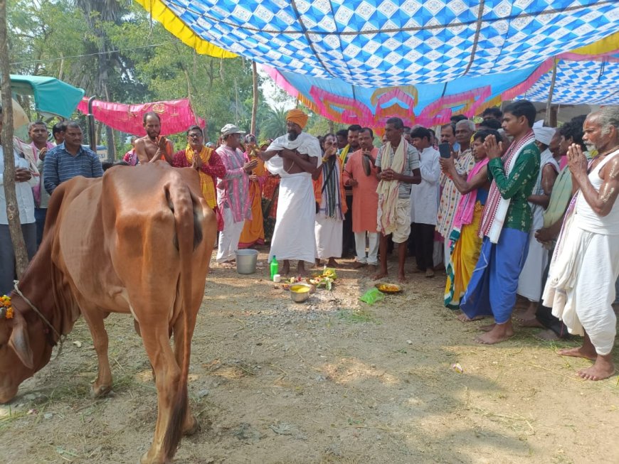 ମାଁ ମାହେଶ୍ୱରୀ ପୀଠ ରେ ଗୋପାଷ୍ଟମୀ ଉତ୍ସବ ପାଳିତ