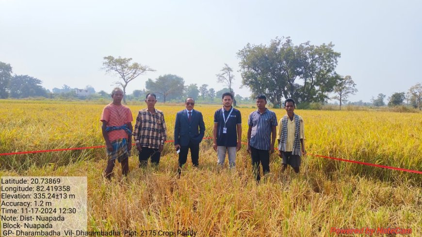 ଅତିରିକ୍ତ ଜିଲ୍ଲାପାଳ ଭୀମସେନ ଶବରଙ୍କ ଧାନ ଶସ୍ୟ କାଟ କ୍ଷେତ୍ର ପରିଦର୍ଶନ l